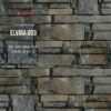 Elvira 003
